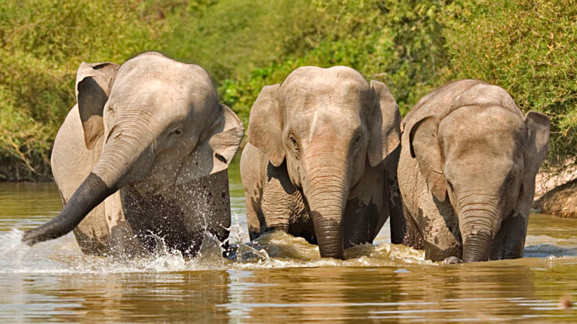 Visit wildlife sanctuaries in the Provinces